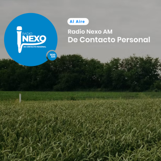 Entrevista en Radio Nexo Quillota